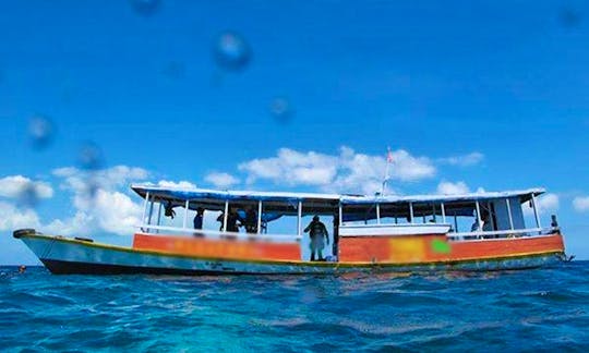 Boat Diving Trips in Wakatobi Island