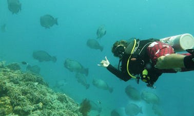 Discover Scuba Diving in Lombok and Gili Trawangan