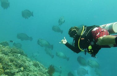 Discover Scuba Diving in Lombok and Gili Trawangan