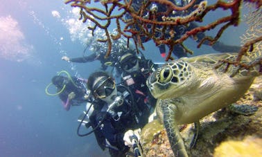 Buceo en la isla de Filipinas