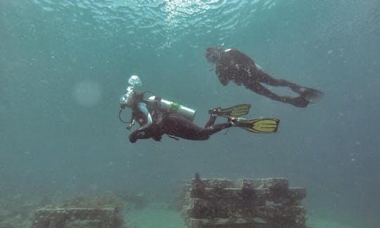 フィリピン島でのスキューバダイビング