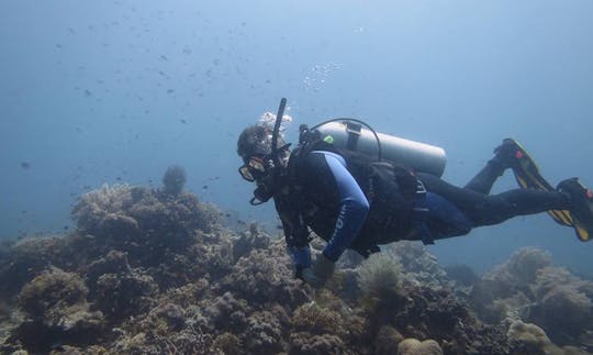 Cursos de buceo en Panglao, Filipinas