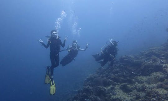 Cursos de buceo en Panglao, Filipinas