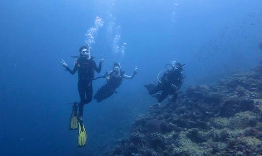 Diving Courses in Panglao, Philippines