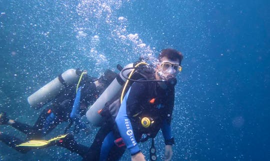 Diving Courses in Panglao, Philippines