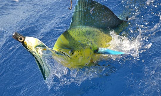 Daily Fishing Trip in Grande Riviere Noire, Mauritius on Sport Fisherman