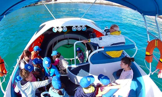 Glass Bottom Boat Tour in Angra do Heroísmo, Portugal