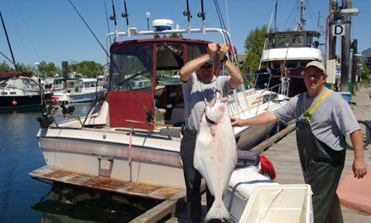 Huge Halibut