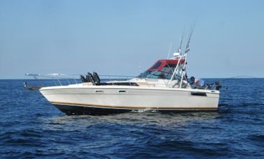 32' Sport Fish Luxury Yacht in Ucluelet