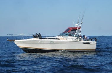 32' Sport Fish Luxury Yacht in Ucluelet