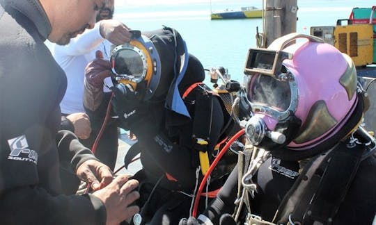 Disfruta del buceo en Saldanha, Cabo Occidental