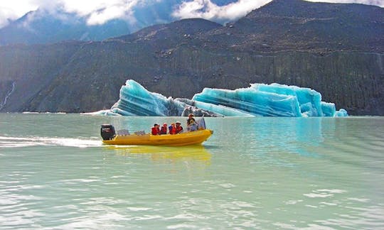 RIB Wildlife Tours dans le parc national du mont Cook, Nouvelle-Zélande