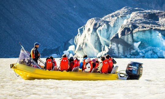 RIB Wildlife Tours dans le parc national du mont Cook, Nouvelle-Zélande