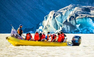 RIB Wildlife Tours in Mount Cook National Park, New Zealand