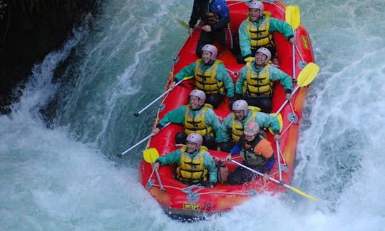 Rafting in Rotorua, New Zealand