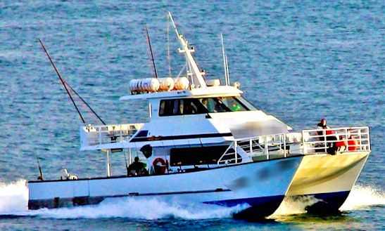 Fishing Adventure In Merimbula Aboard 60' Power Catamaran For 15 Person