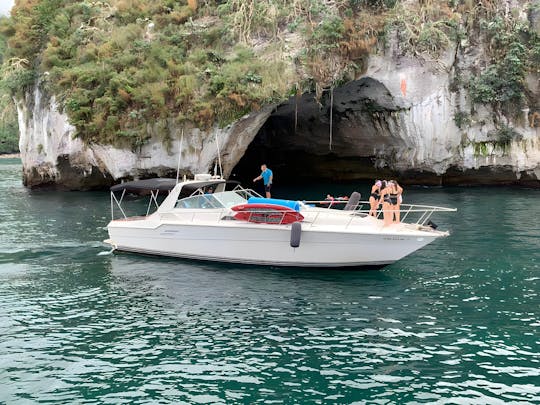 Experiência de luxo em um iate Sea Ray de 46 pés | Puerto Vallarta (inclui comida)