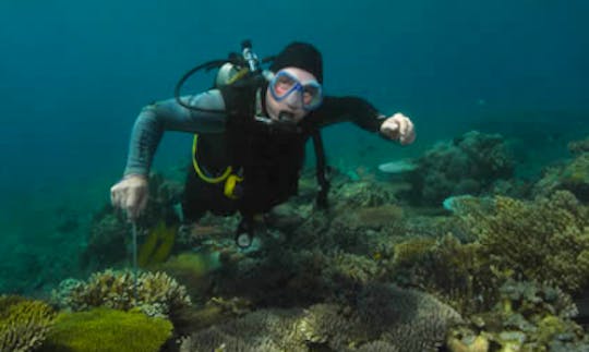 Enjoy Diving Courses in Kecamatan Buleleng, Indonesia
