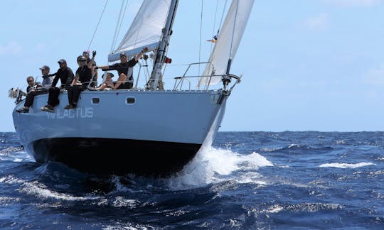 Racing in choppy Antigua