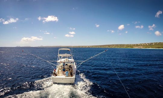 Motor Yacht Rental in Kralendijk