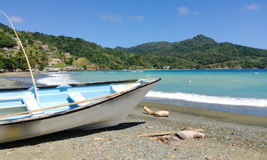 Wildlife Tours in Buccoo, Tobago