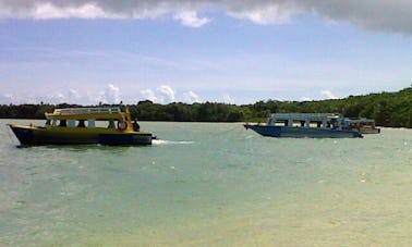 Passeios pela vida selvagem em Buccoo, Tobago