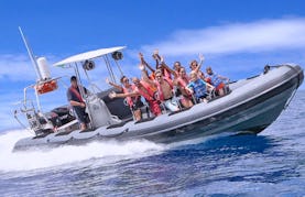 Amazing Powerboat Adventure & Snorkel