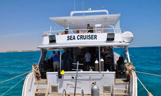 Fun-filled Diving Trips and Courses in Red Sea Governorate, Egypt
