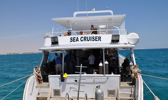 Fun-filled Diving Trips and Courses in Red Sea Governorate, Egypt