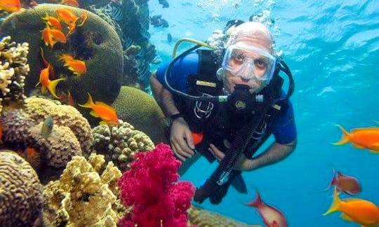 Fun-filled Diving Trips and Courses in Red Sea Governorate, Egypt