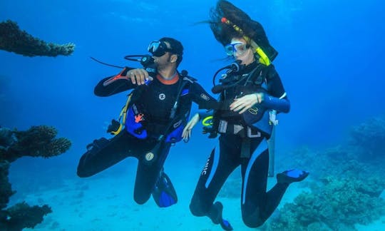 エジプト、紅海県の楽しいダイビングツアーとコース