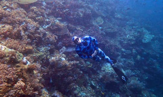 Enjoy Diving Courses in Pemenang, Indonesia