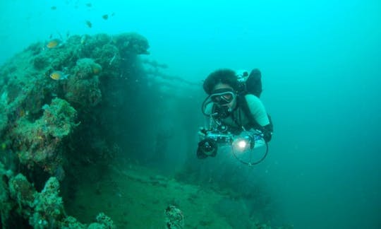 Experience Diving Trips and Courses in Panglao, Philippines