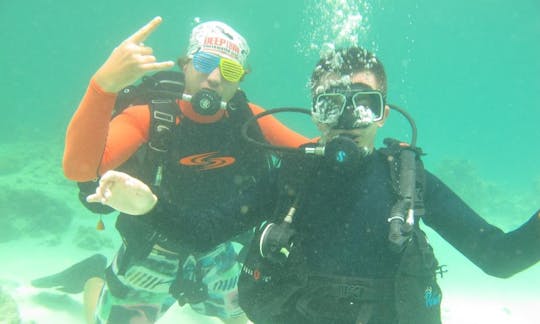 Experience Diving Trips and Courses in Panglao, Philippines