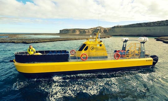 Charter a 56ft ''Yellow Submarine'' in Chubut Argentina