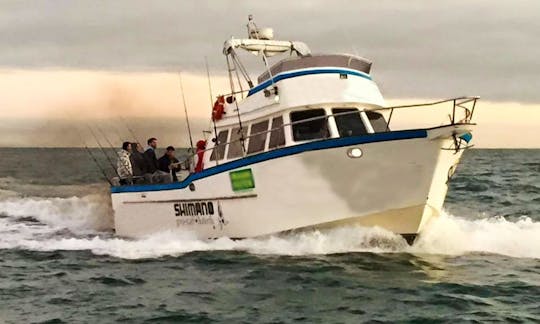 42' Marco Polo Sport Boat In Mar del Plata