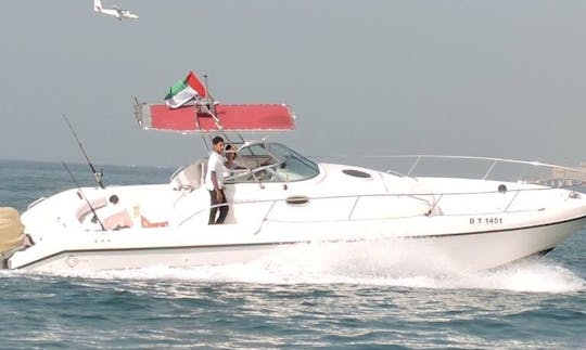 Pesca de luxo em alto mar em Dubai, Emirados Árabes Unidos na Cuddy Cabin