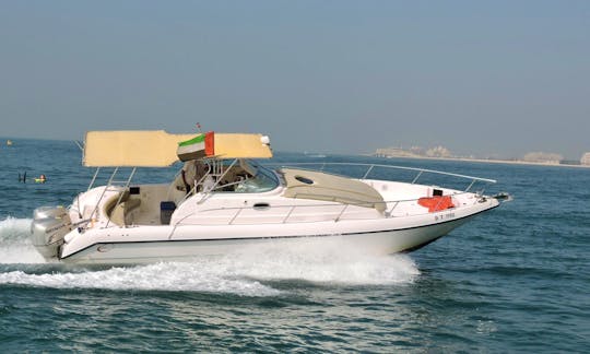 Luxury Deep Sea Fishing in Dubai, United Arab Emirates on Cuddy Cabin