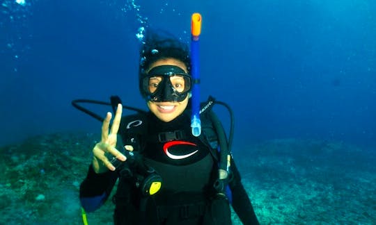 Enjoy Diving Trips in Denpasar Selatan, Bali