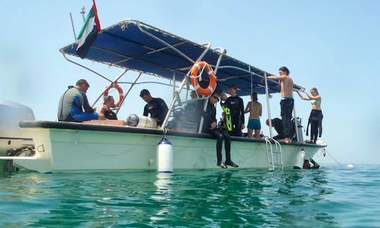 Enjoy Diving Courses in Dibba Al Fujairah, United Arab Emirates