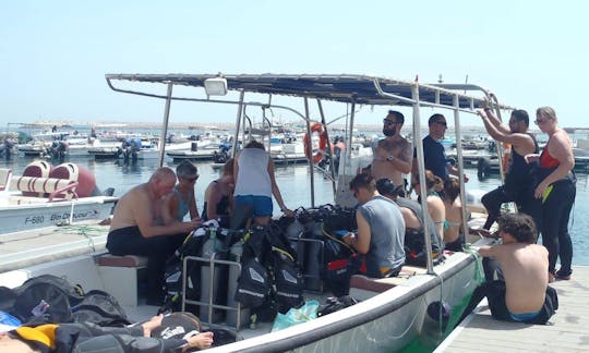 Enjoy Diving Courses in Dibba Al Fujairah, United Arab Emirates