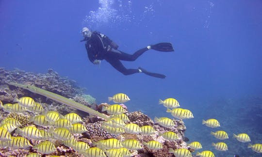 Enjoy Diving Trips and Courses in Saint-Paul, Reunion