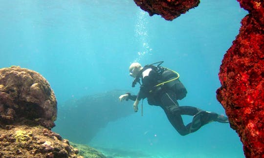 Enjoy Diving Trips and Courses in Saint-Paul, Reunion