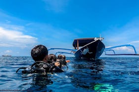 Enjoy Diving Trips and Courses in Pemenang, Indonesia