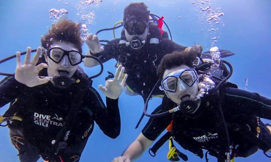 Enjoy Diving Trips and Courses in Pemenang, Indonesia