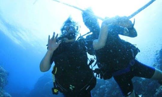 Enjoy Diving Trips and Courses in Tambon Ko Phayam, Thailand