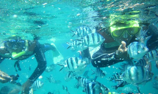 Enjoy Snorkeling in South Denpasar, Bali