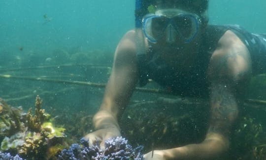 Enjoy Snorkeling in South Denpasar, Bali