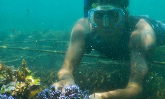 Enjoy Snorkeling in Denpasar Selatan, Bali