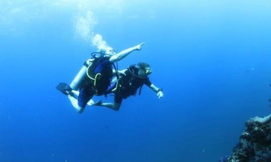 Enjoy Diving Trips and Courses in Tambon Ko Phayam, Thailand